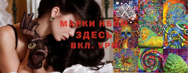 соль ск Лабытнанги
