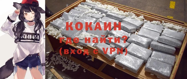 амф Ладушкин