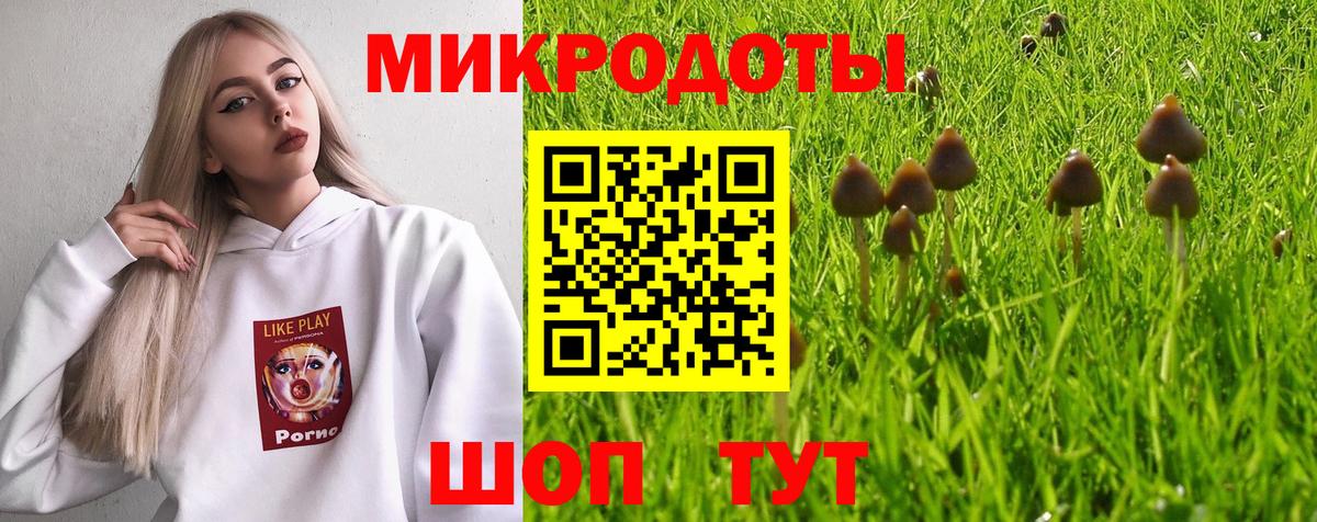 Псилоцибиновые грибы мицелий Ростов-на-Дону