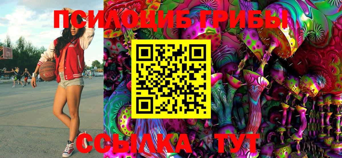 Галлюциногенные грибы прущие грибы  Псилоцибиновые грибы Psilocybine cubensis  где найти   Ростов-на-Дону 